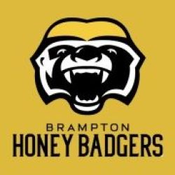 honey-badgers-de-brampton-180x288